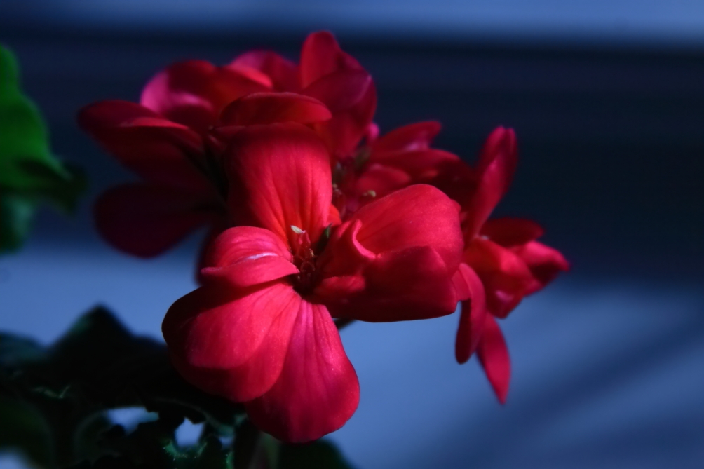 2012 02 10 6399